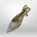 Ladies Shoes (H-1313) Aa