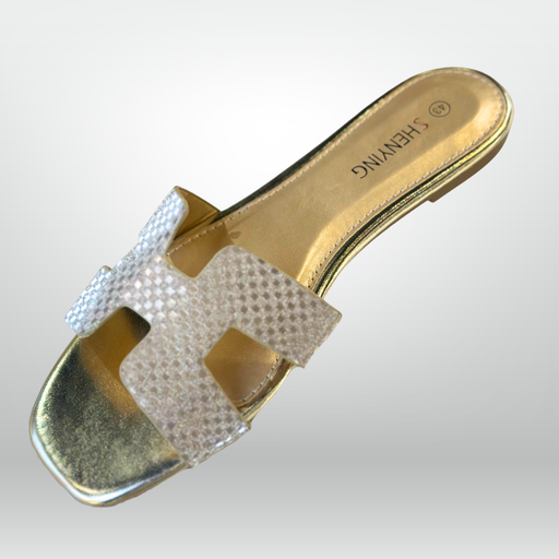 Ladies Sandal(Nh24-55)